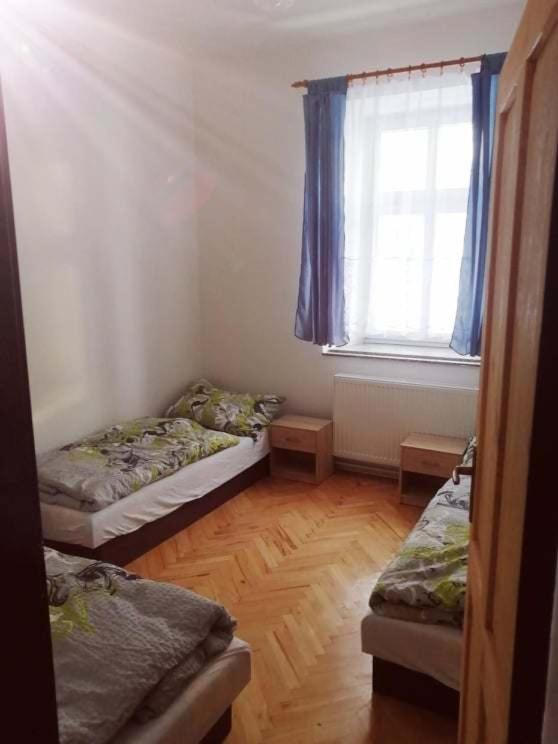 Penzion U Trojice Červená Voda Extérieur photo